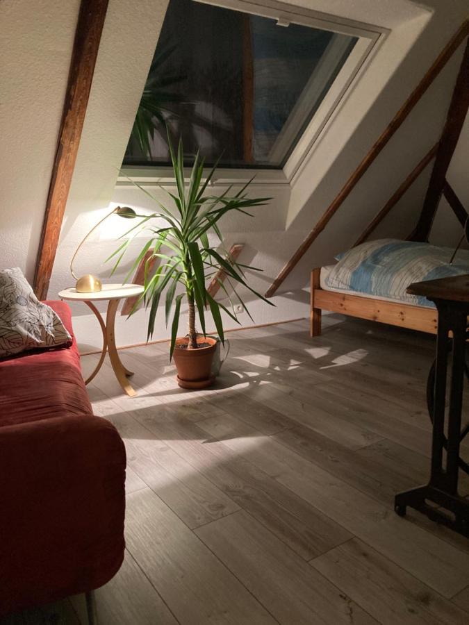 Privates Appartment Ferienwohnung Im Einfamilienhaus Дюселдорф Екстериор снимка